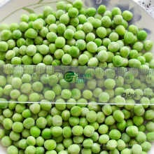 High Quality IQF Frozen Green Peas
